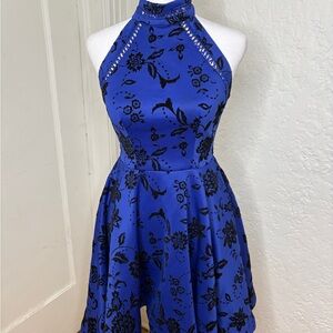 B Darlin Royal Blue and Black Floral Mini Dress